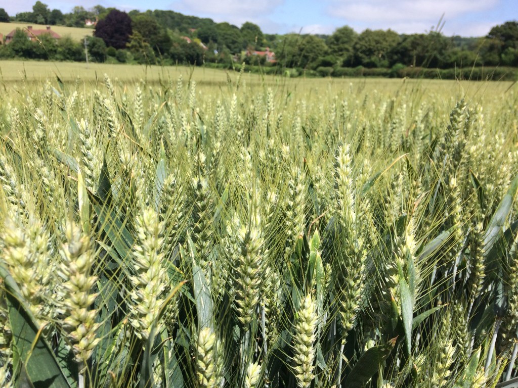 Pause for thought…